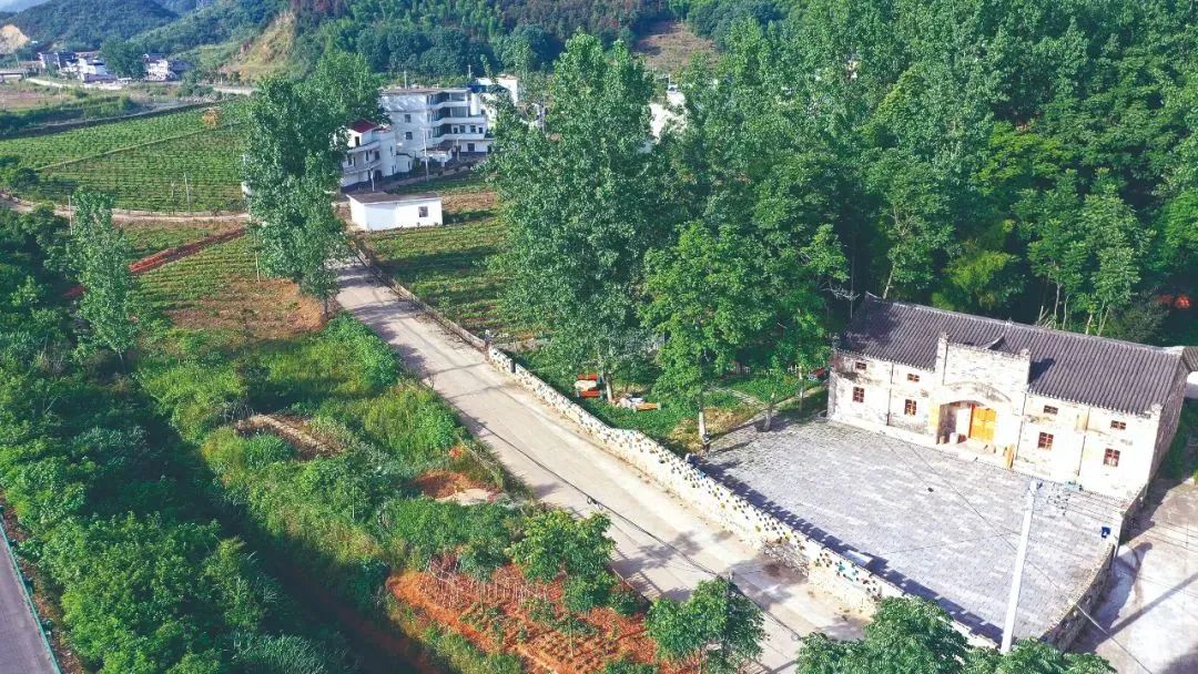 一条小黑狗像影子一样跟着我,这个村子