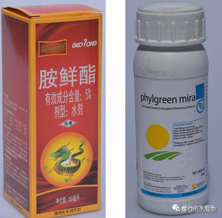 北方果蔬——日韩系梨花前用药安排