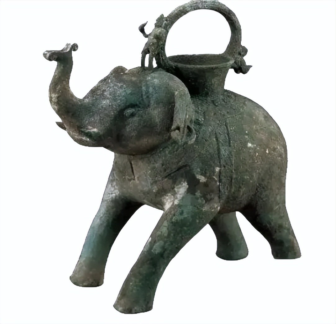 近距离接触大象了解大象,爱大象的原因