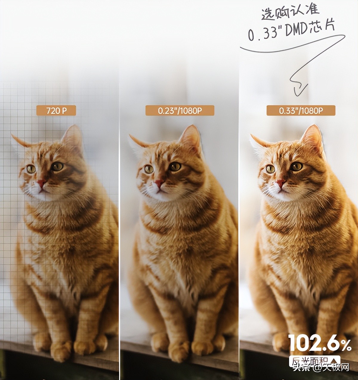 看世界杯投影,极米投影仪如何看世界杯