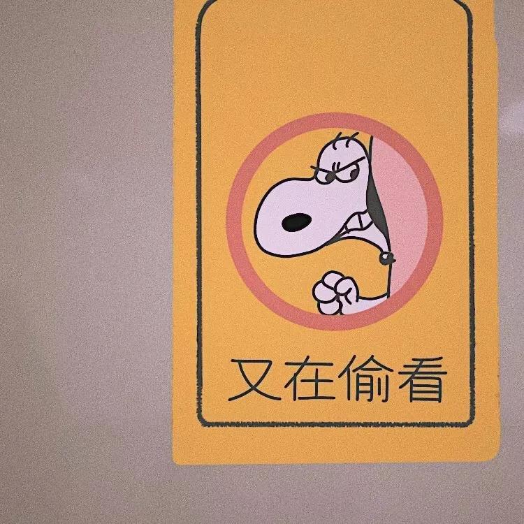 背景图优雅生活,生活随意的背景图高级感