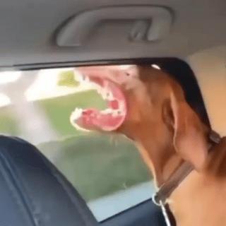 把老公的自拍照细节放大后，场面太刺激！哈哈哈哈