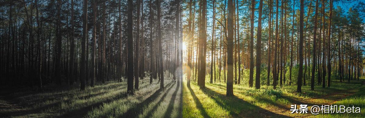 松下lumix全画幅无反相机,松下s5lumix是全画幅吗