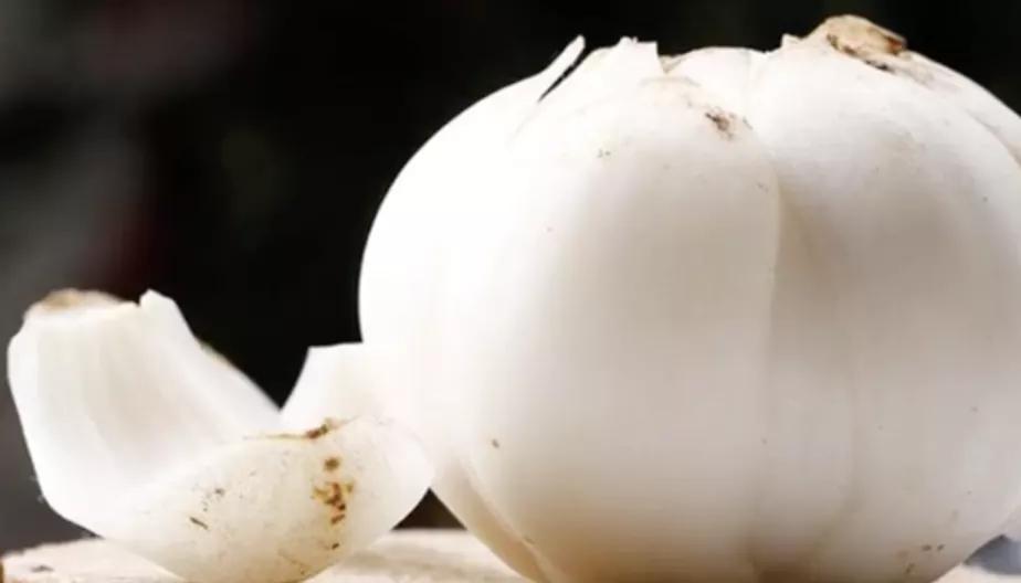 「美食就“药”来」百合：时间的味道，也是可以生吃的本草