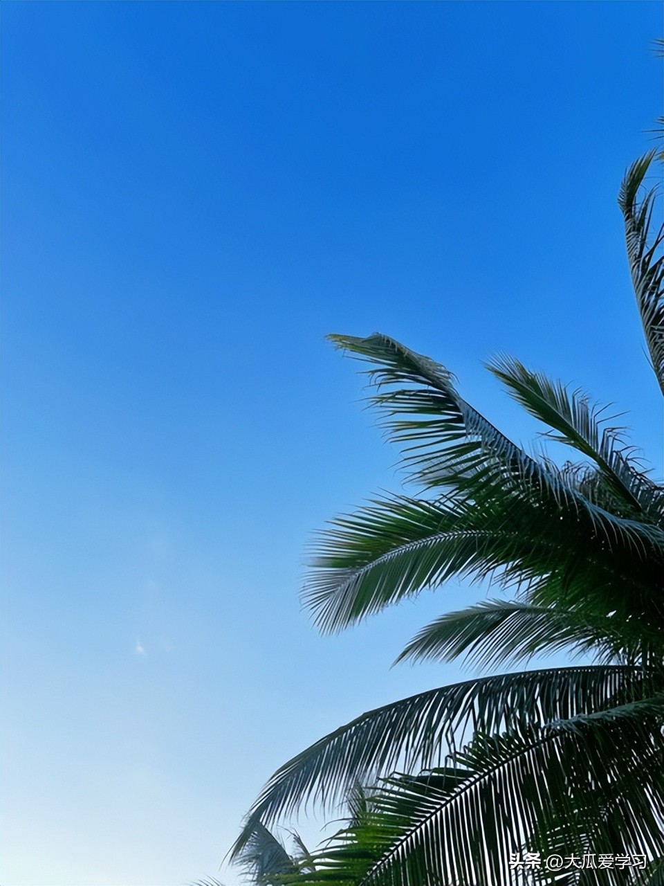 不要因为懒而找借口,你就是懒怎么回复