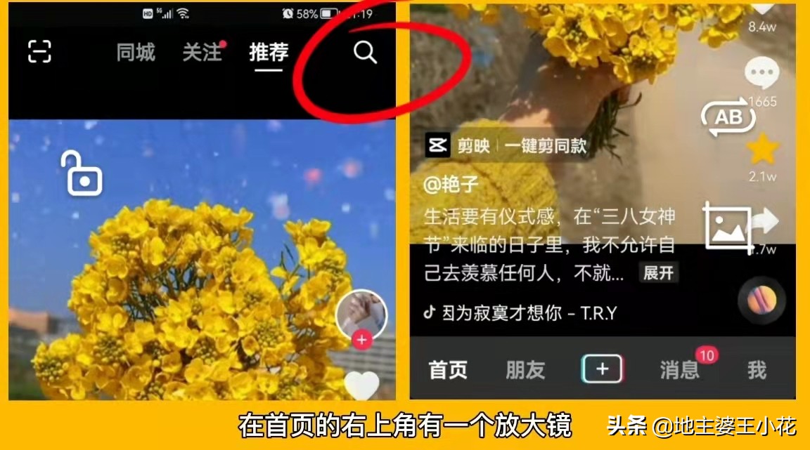 各种小花背景音乐,小花视频背景音乐
