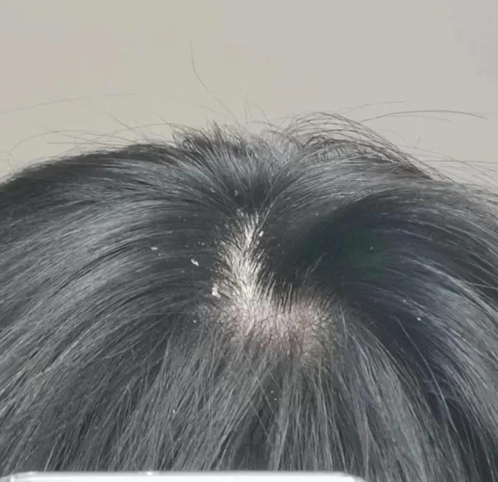 高缇雅洗发水是智商税吗,洗发水的好坏之分哪种洗发水好用