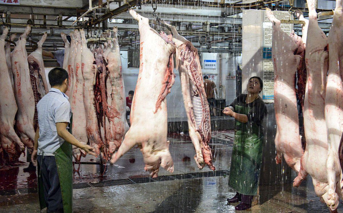 猪价回暖猪企能否走出低迷,猪企逆势扩张猪价还能上吗