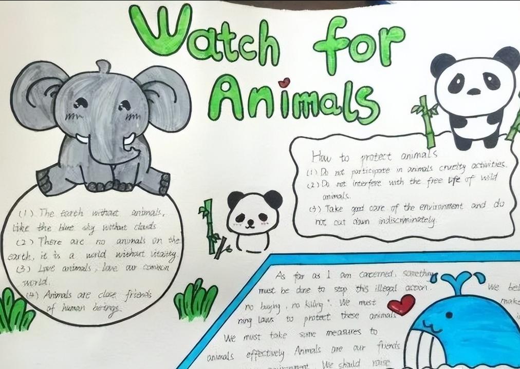 保护动物手抄报英语一等奖五年级,英语保护动物倡议手抄报