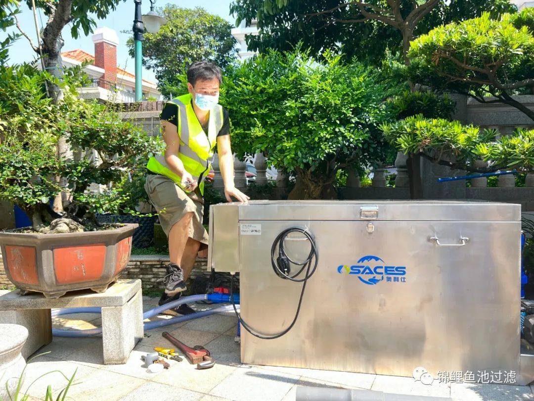 锦鲤鱼池下过滤池底粪便如何清除,锦鲤鱼池过滤仓用什么做盖子好