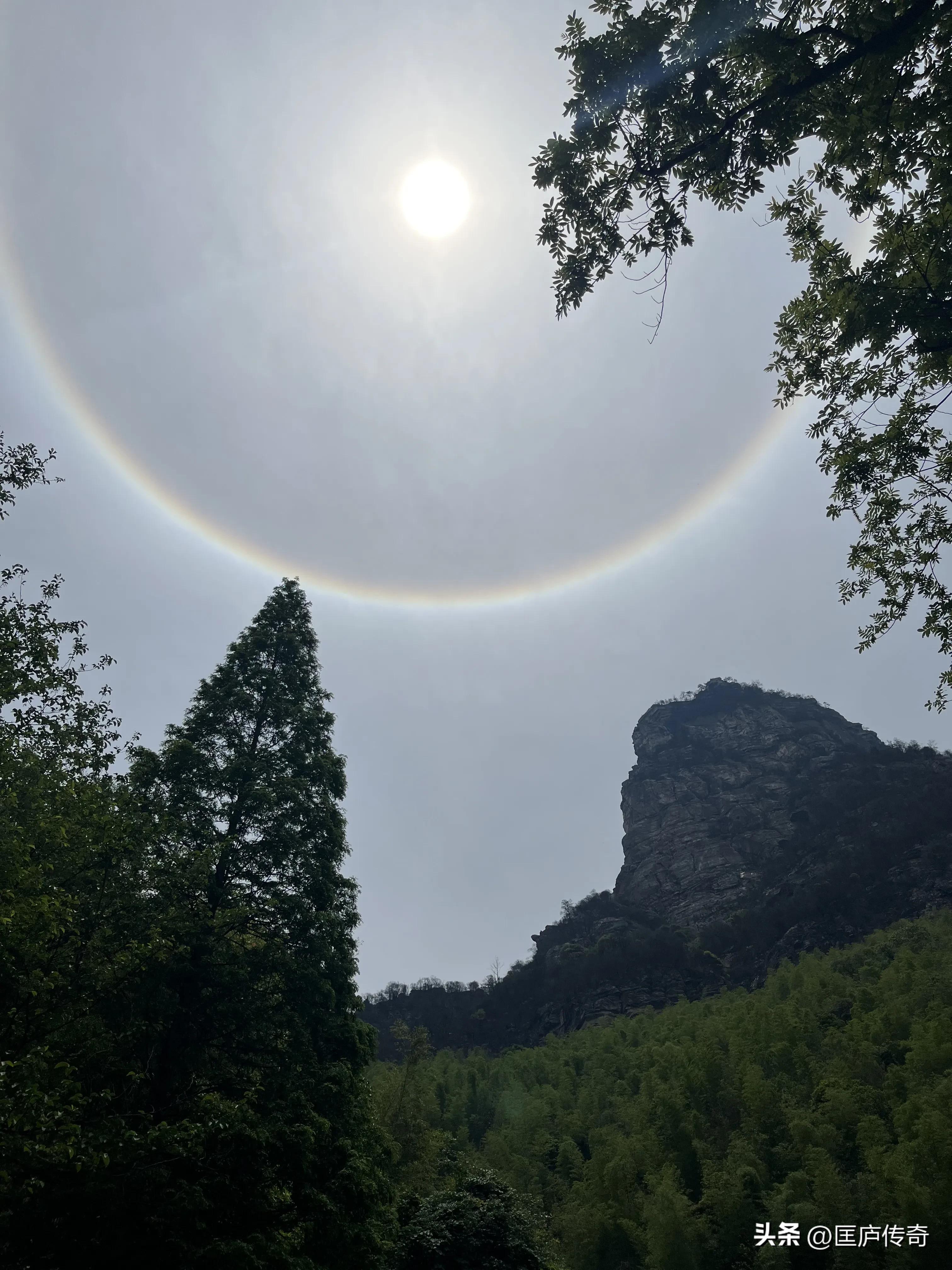 我的日常生活和工作内容,我的日常生活演讲稿小学生