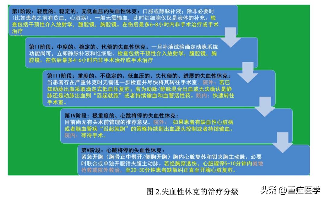 失血性休克的该管理：生理学方法、时机和策略