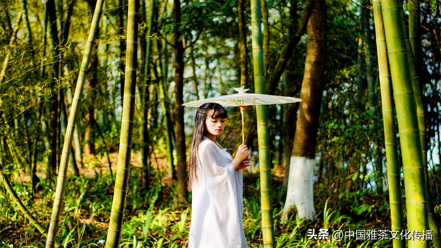 岁月与时光感悟人生,惊艳回眸的时光