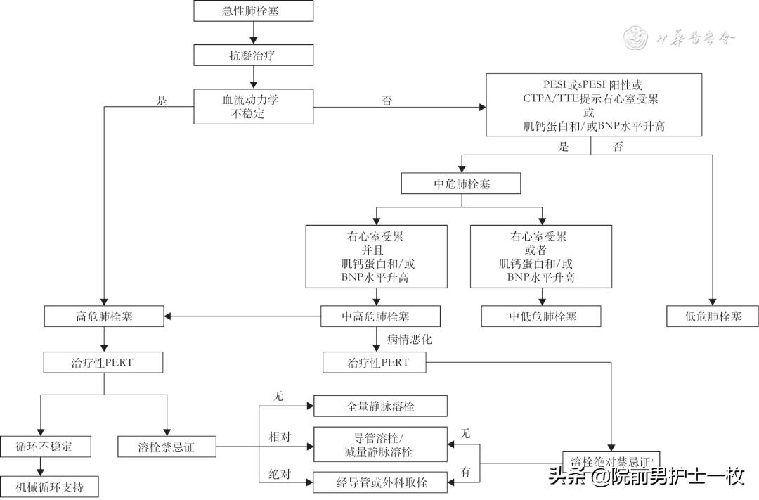急性肺栓塞疑难病例讨论模板,急性肺栓塞ct讲解视频