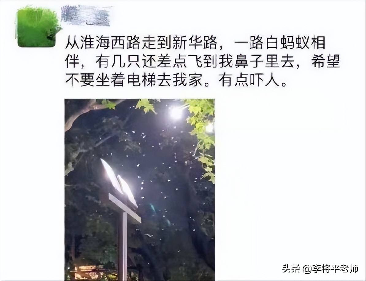 白蚁袭击刘畊宏,刘畊宏家里直播飞进白蚁