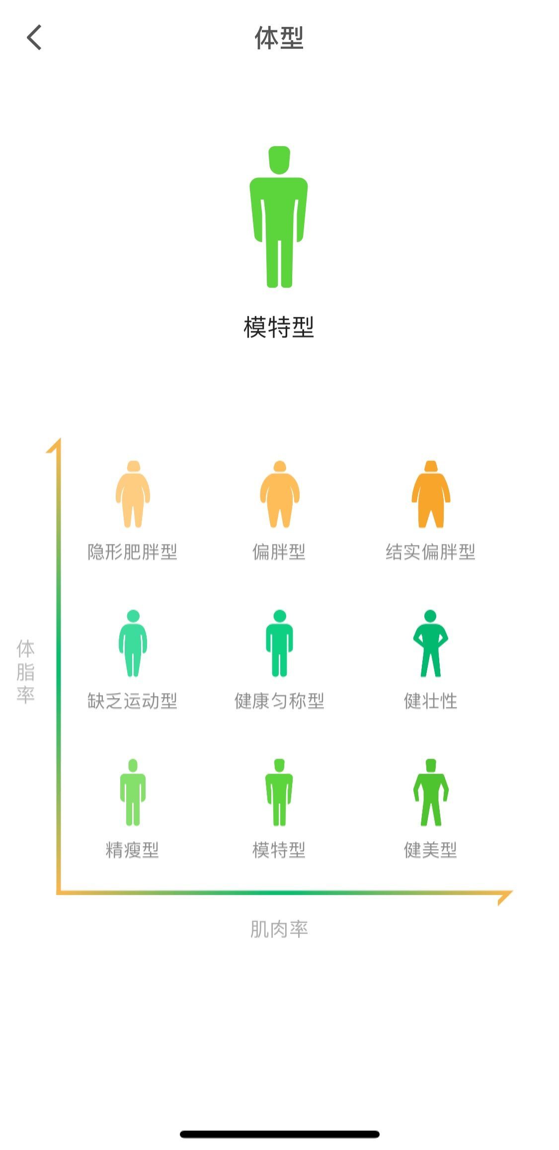 体型塑造神器,咕咚智能体脂秤使用方法