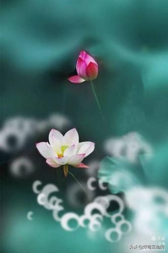 人生总是在浮躁中度过,浮躁患得患失怎么办