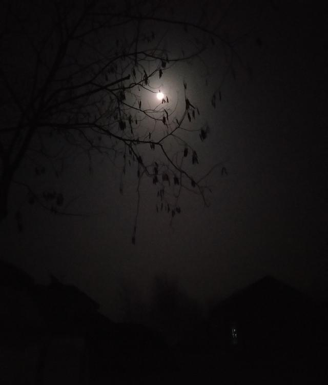 30万成交！普通梳子背后的惊天秘密