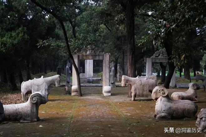 孔子的墓为何被称为孔林,孔子真正的墓穴在哪里