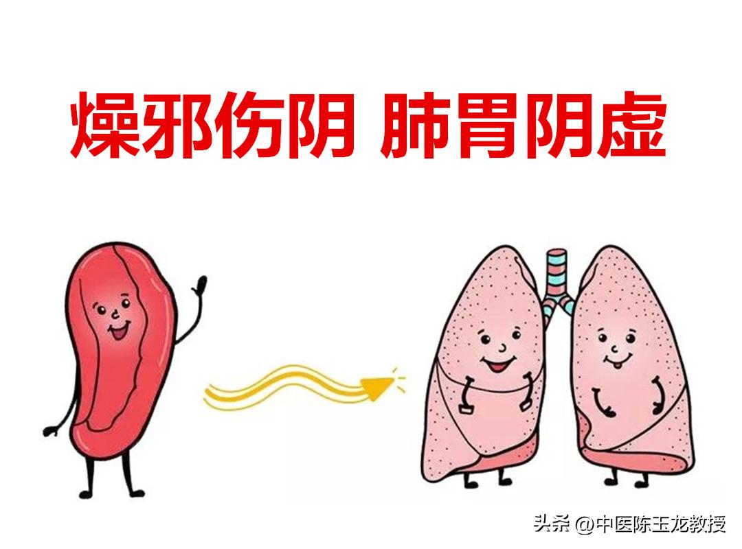 干咳润肺止咳汤,阳过后无痰干咳煲什么汤止咳