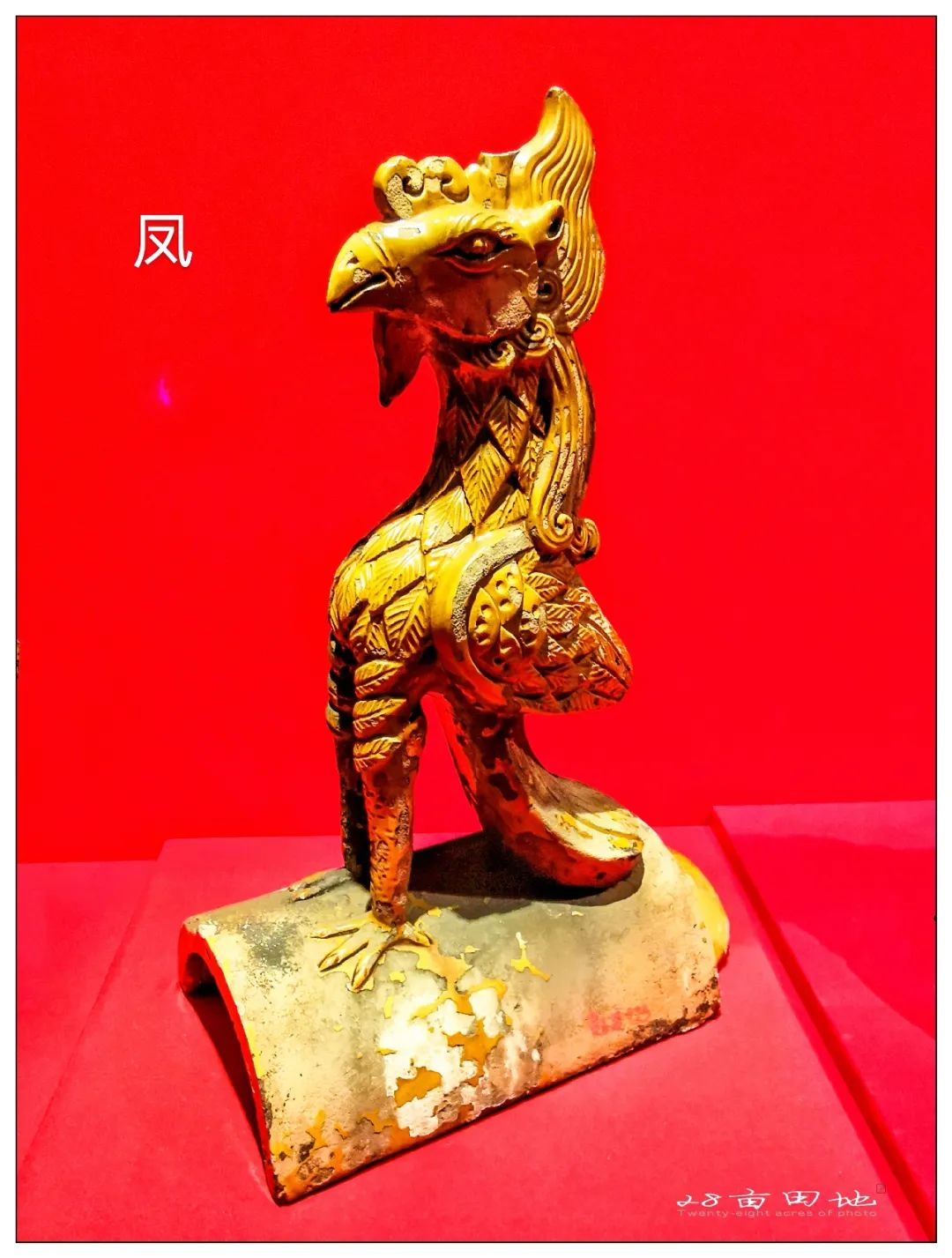 故宫600年-丹宸永固