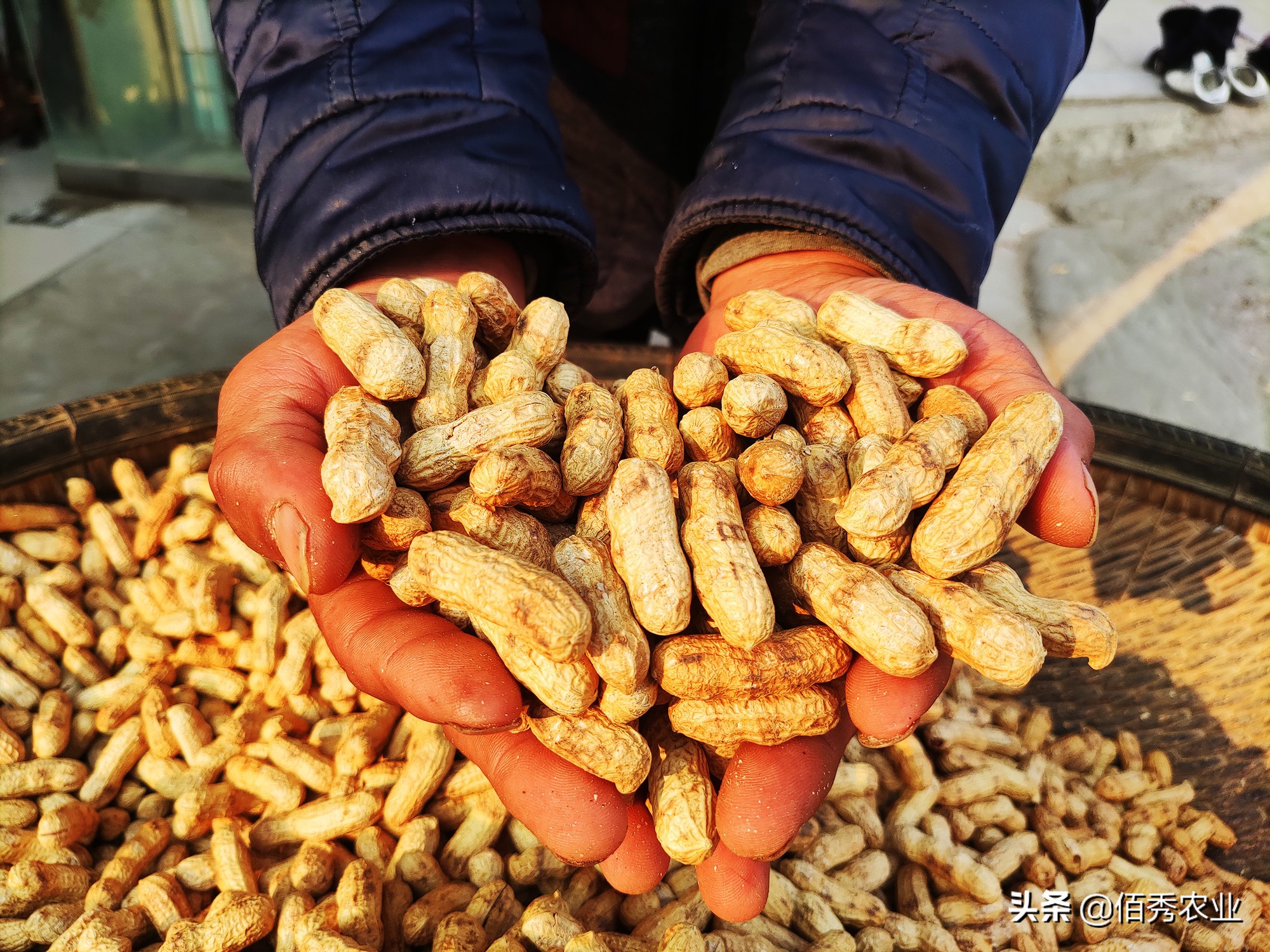 摆摊卖炒货什么最好卖,摆摊卖炒货都有哪些品种