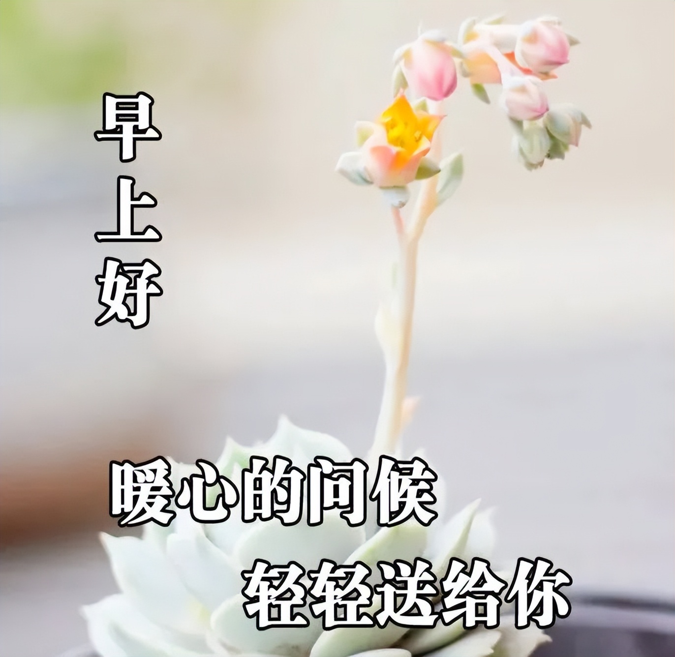 朋友关心问候语暖心感动的句子,问候祝福朋友开心快乐的温馨句子