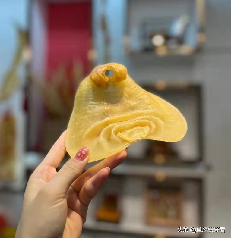 什么样的鱼胶不建议买,不建议入手的鱼胶