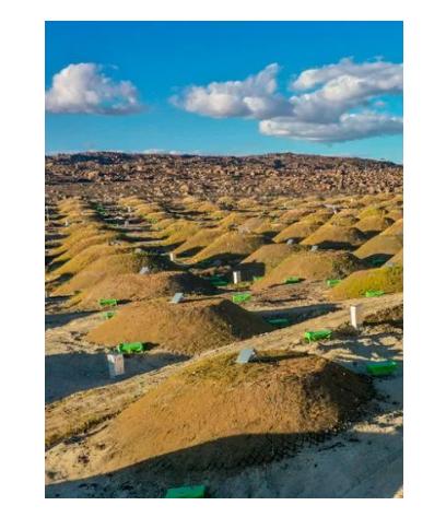 占地45亩的标准足球场馆,116公顷几个足球场