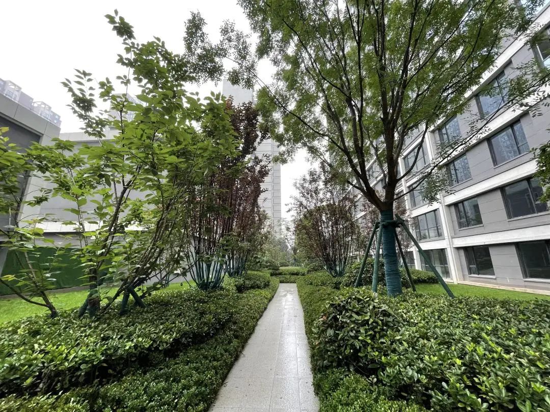 旭辉国宸府延期,房住不炒不等于房价不涨