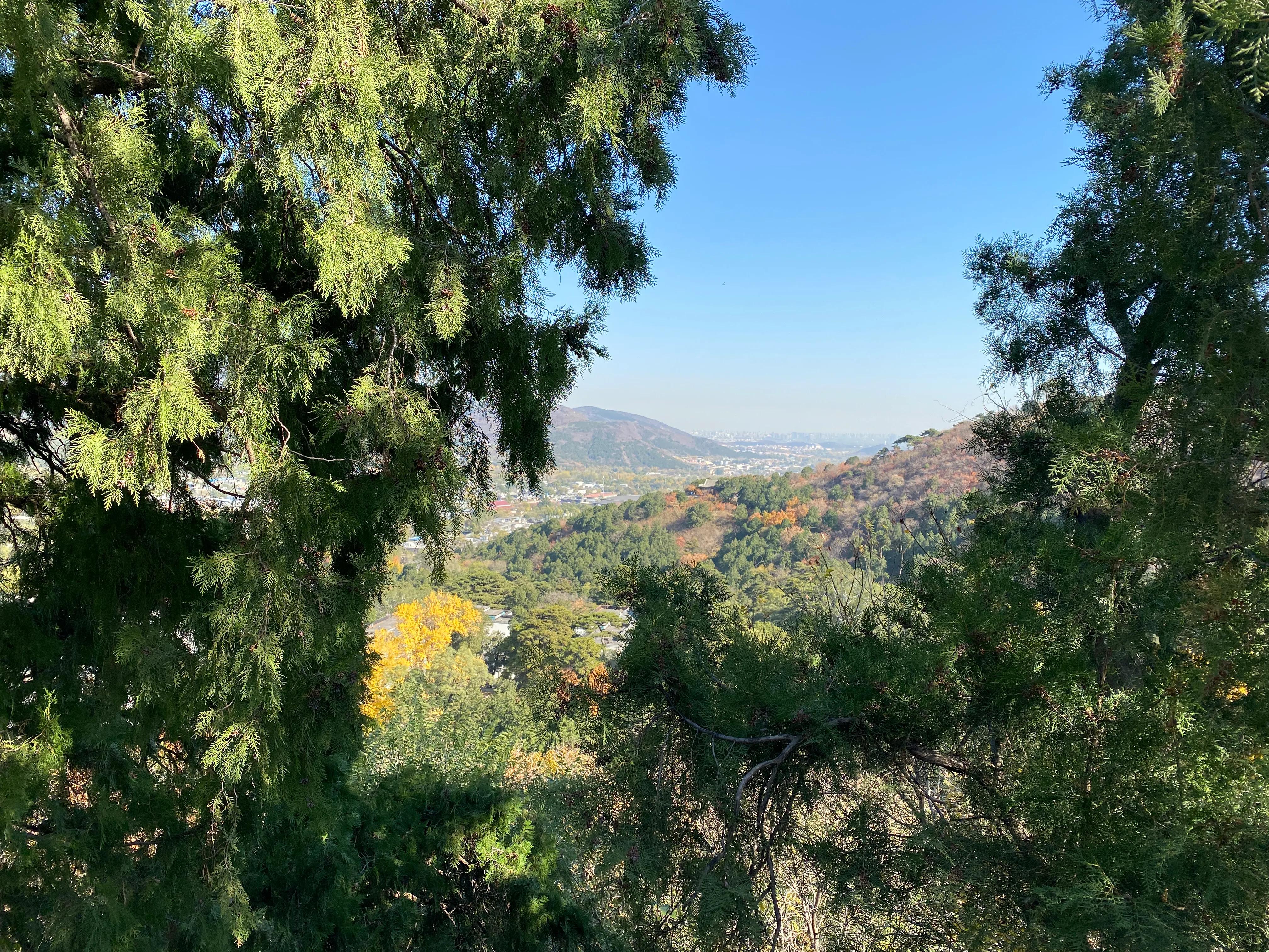 香山风景区打卡攻略,北京香山公园打卡