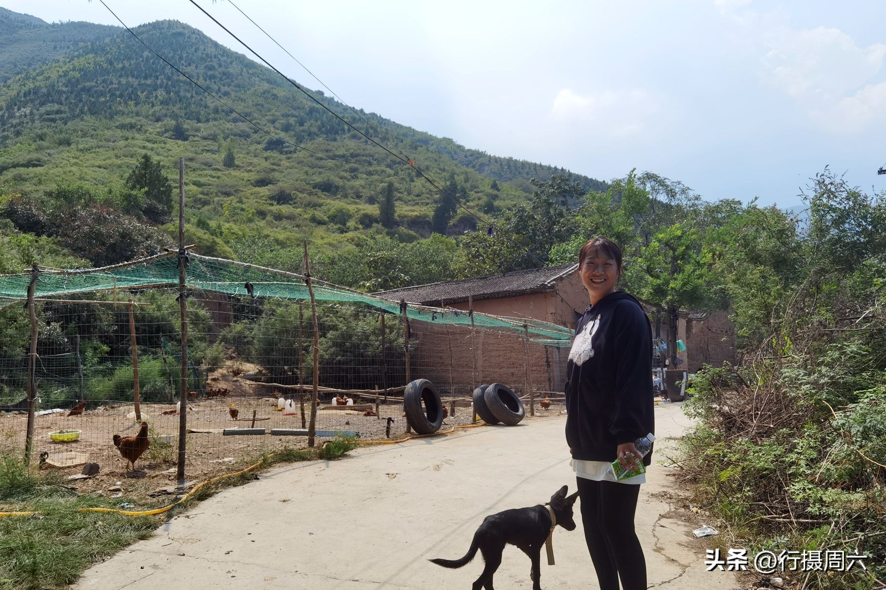 养鸡小两口,养1000只跑山鸡一年赚多少