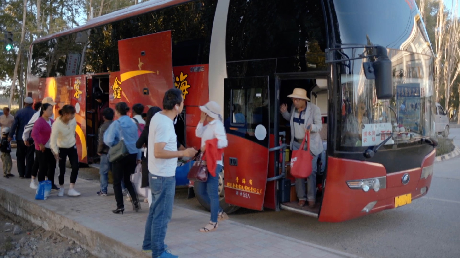 青海诺木洪枸杞今年什么时候摘,青海诺木洪枸杞采摘
