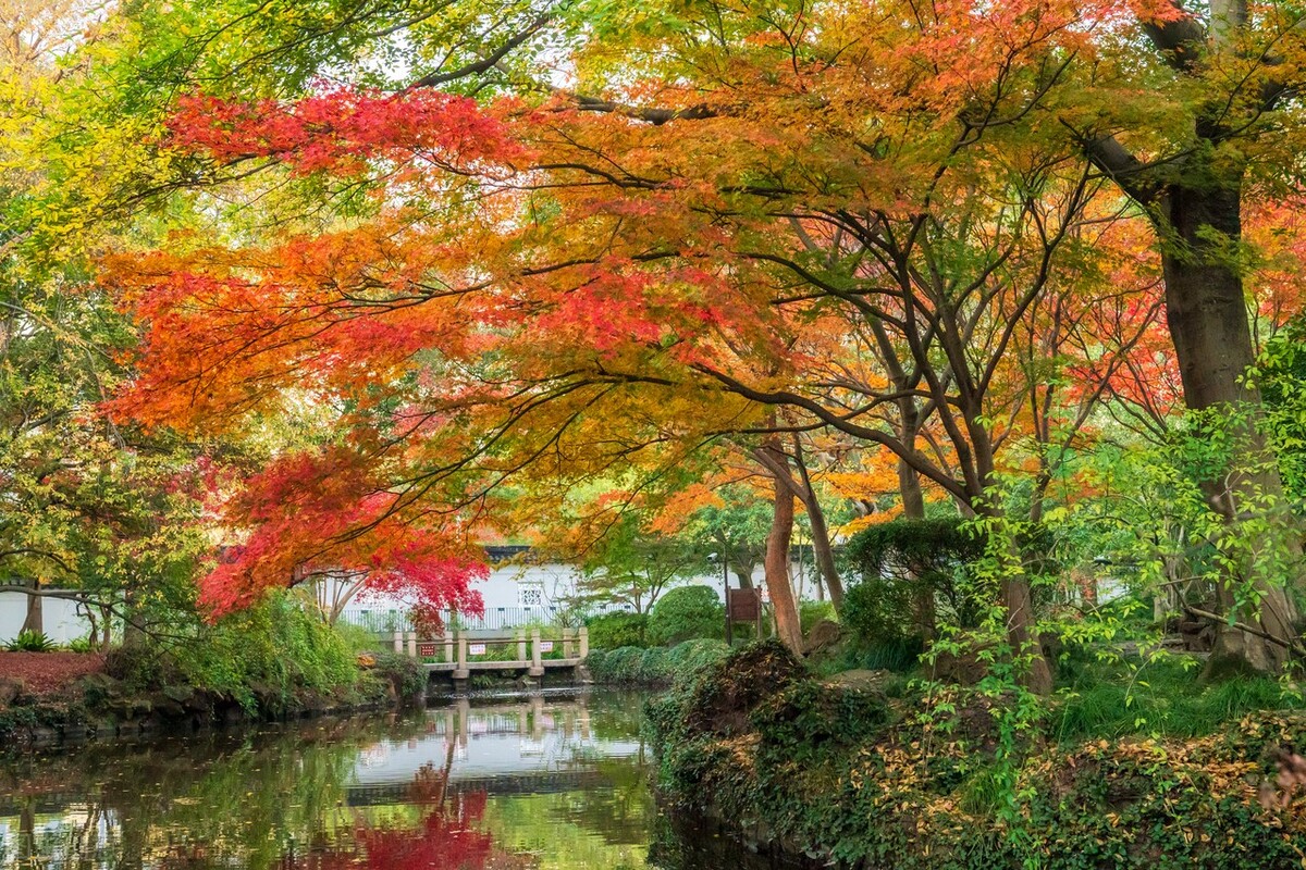 秋日上海好去处,上海秋日风景