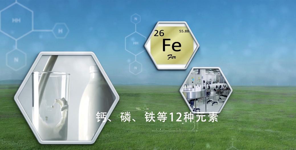 锡林郭勒天然奶酪,锡林郭勒奶酪怎么样