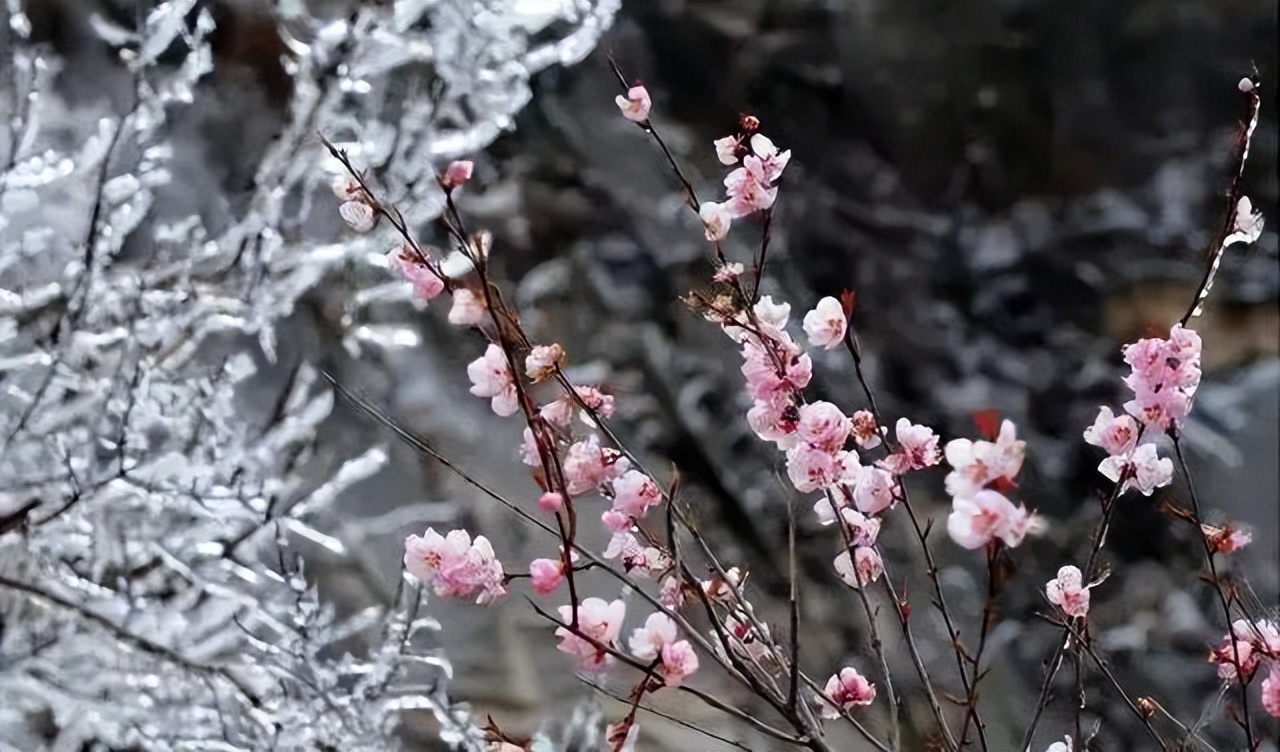 华山攻略北上西下得多长时间,徒步北上西下华山需要走多久