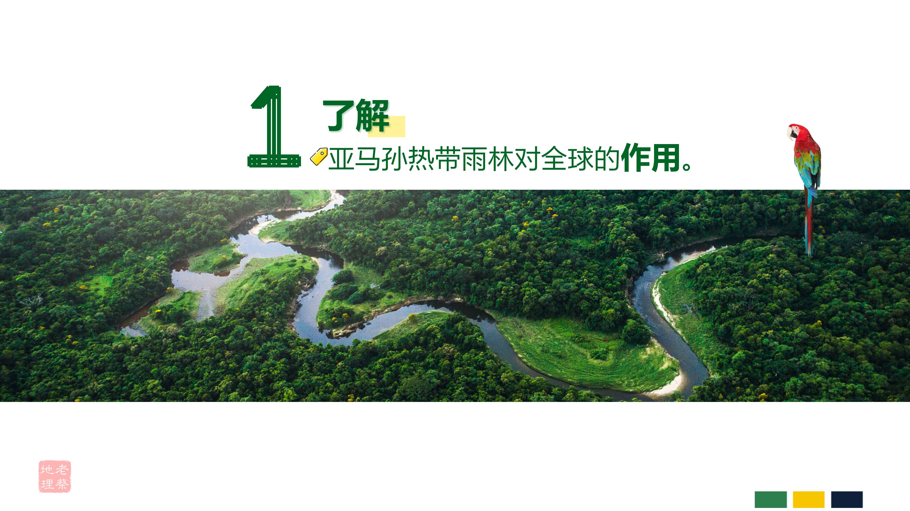 初中地理巴西知识点思维导图,七年级下册地理巴西教案人教版