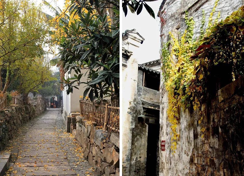 太湖西山岛旅游团建民宿,苏州西山岛一日游团建