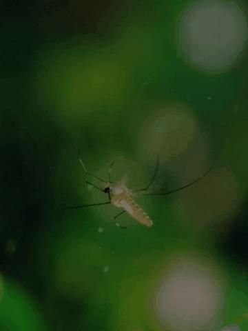 大开眼界30张有趣且罕见的趣图,20张让你涨知识的图