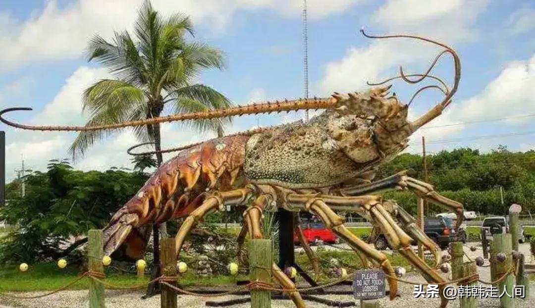 新西兰宛如世界尽头的纯净之地,新西兰一个隐藏的天堂