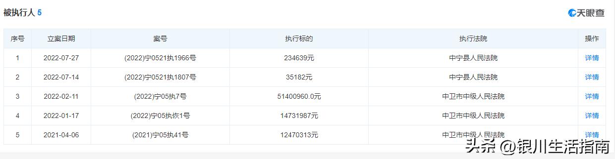 天元锰业旗下宁夏中宁发电公司被罚46万，此前数度成为被执行人