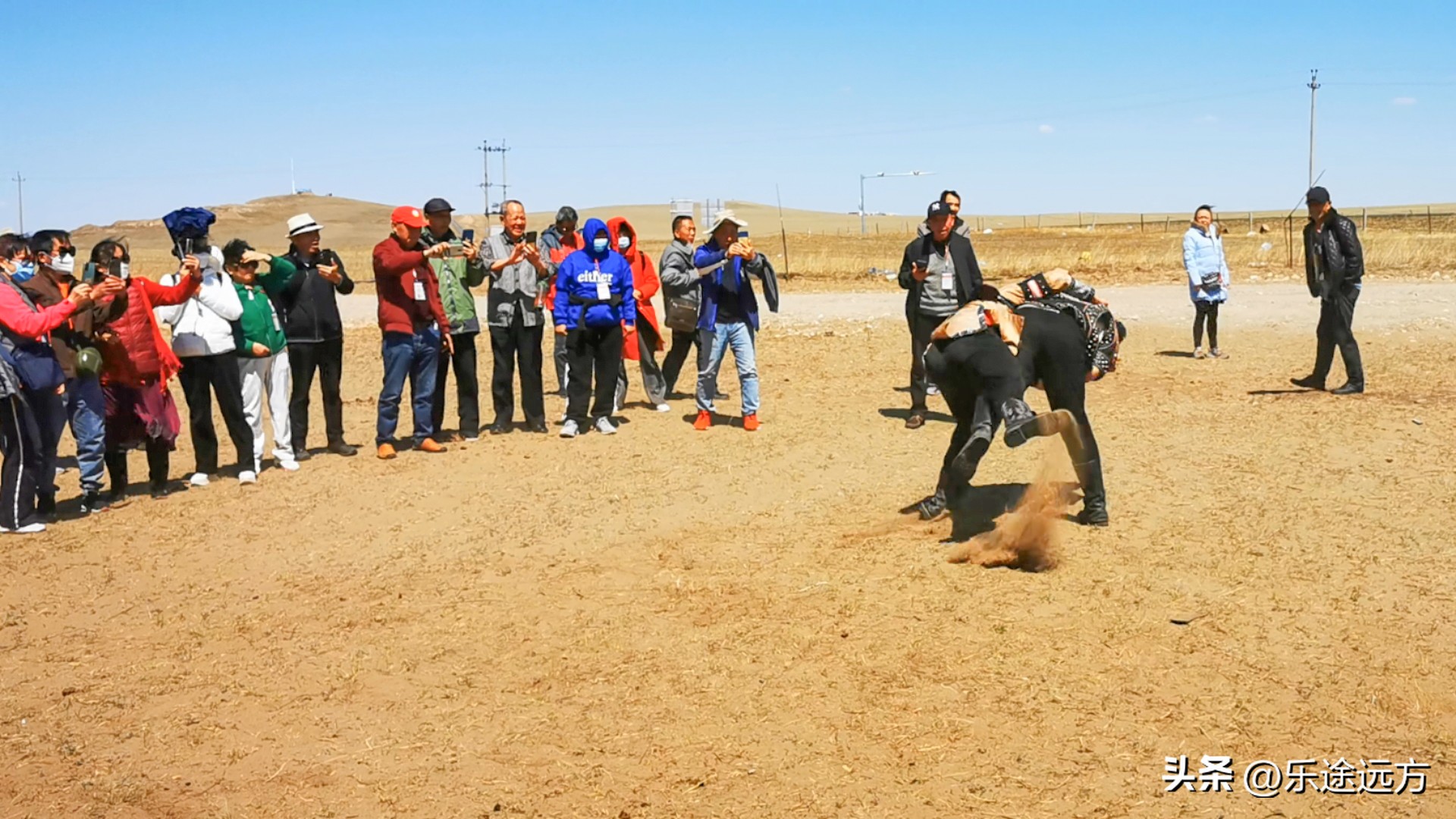 呼伦贝尔烤全羊烤全牛,呼伦贝尔大草原烤全羊