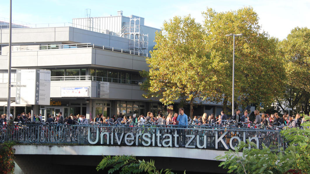 转码上岸学什么专业好就业,转码码农