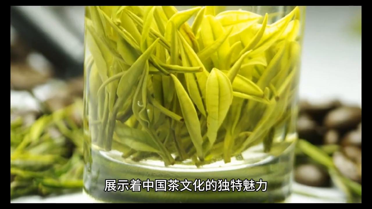 安吉白茶珍品回收,黄浦江源安吉白茶珍品