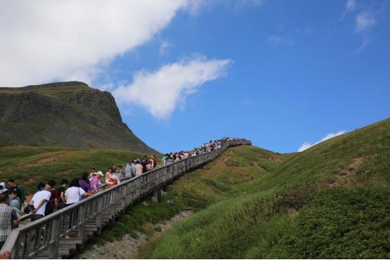 大批韩国游客涌入我国，表面是来旅游，实则看上了我们的白酒？