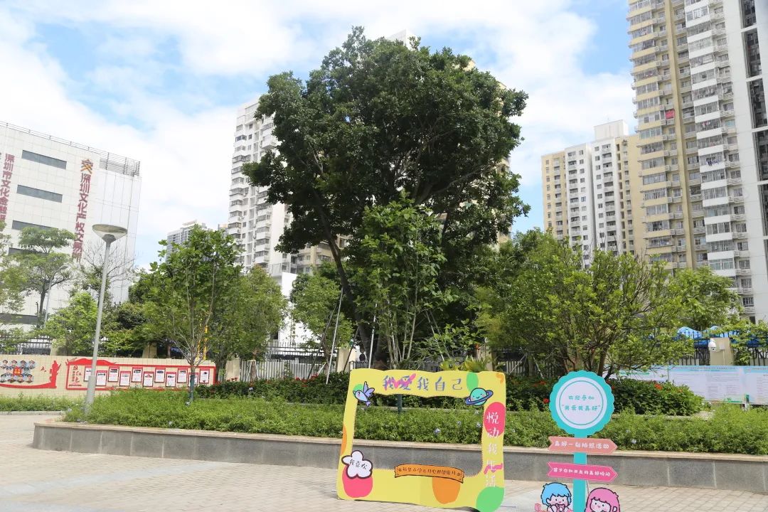 深圳福田2025年幼升小学位紧张吗,新增公办义务教育学位超3000个