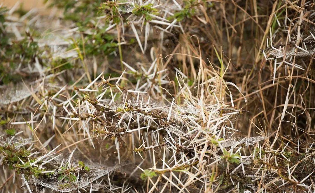 每一个，都让人脚趾扣地.....