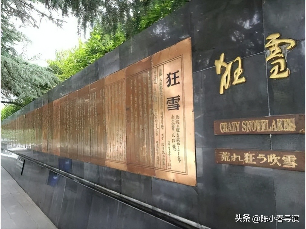 *京大南***杀屠**血祭：荡气回肠、拷问良知的警世史诗