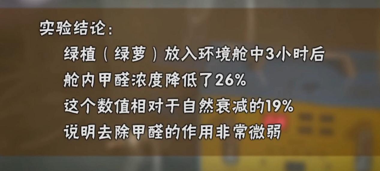 绿植除甲醛的误区有多大,绿植除甲醛真的有效吗