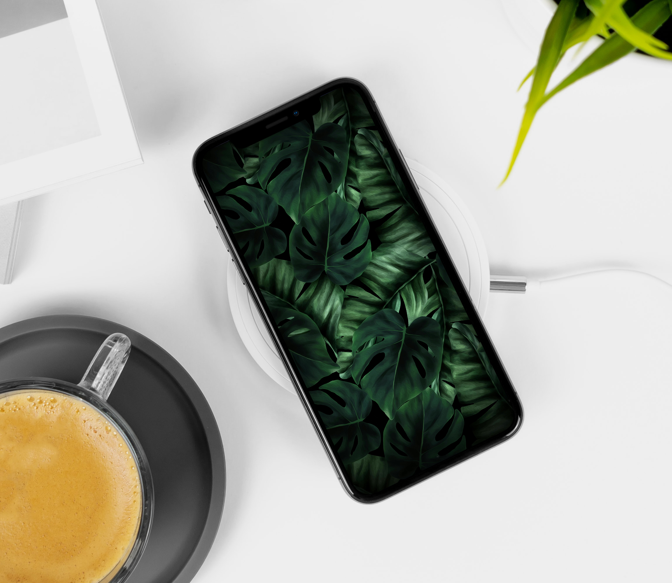 iu壁纸超清4k手机壁纸静态可保存,ipad壁纸11寸4k高清壁纸绿色系